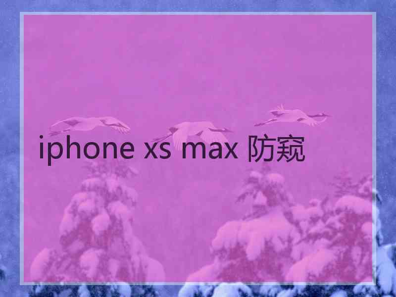 iphone xs max 防窥