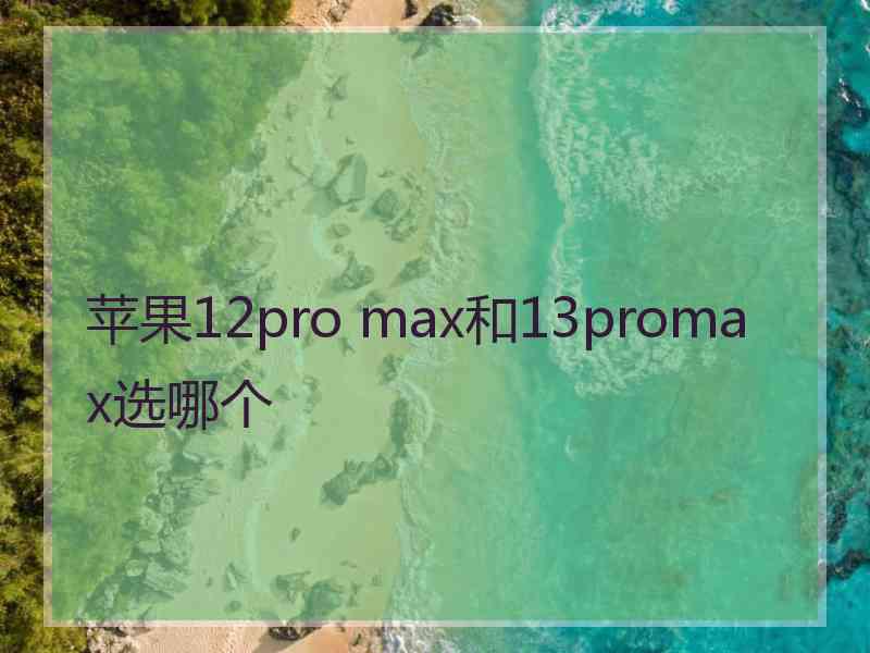 苹果12pro max和13promax选哪个