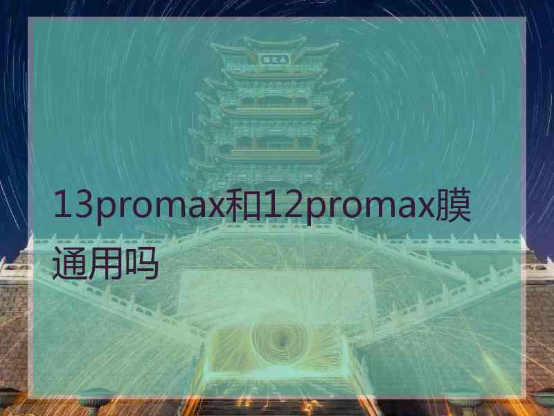 13promax和12promax膜通用吗