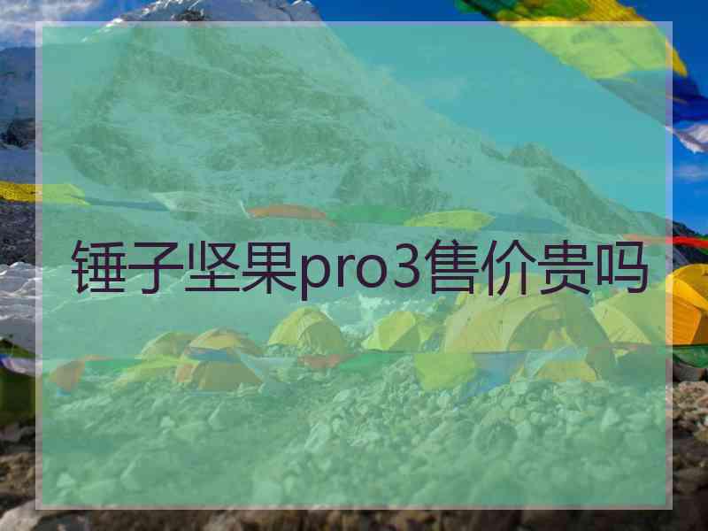 锤子坚果pro3售价贵吗