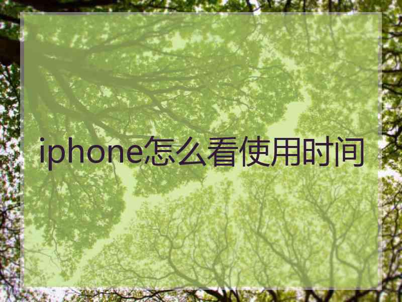 iphone怎么看使用时间