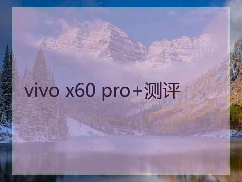 vivo x60 pro+测评