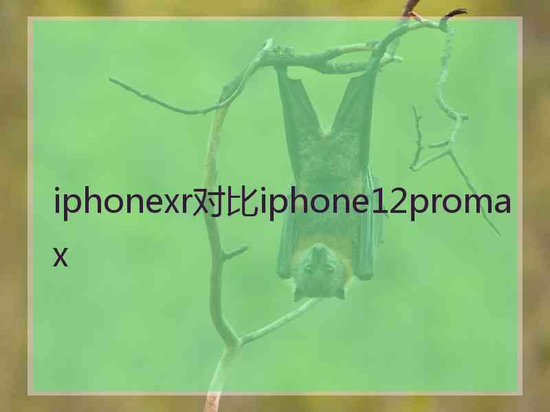 iphonexr对比iphone12promax