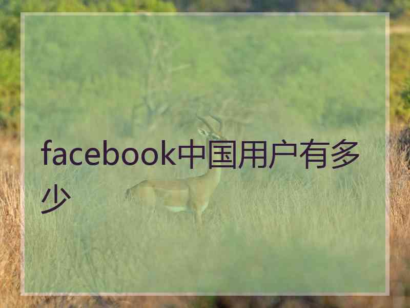 facebook中国用户有多少