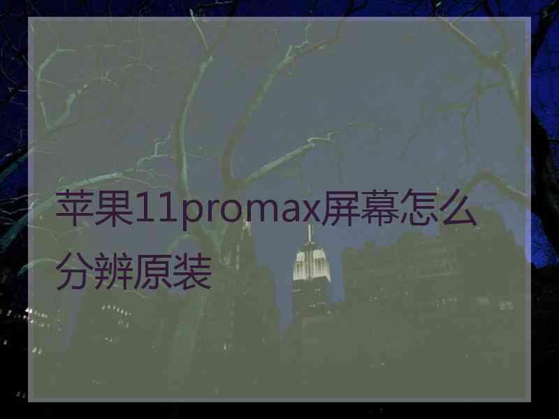 苹果11promax屏幕怎么分辨原装