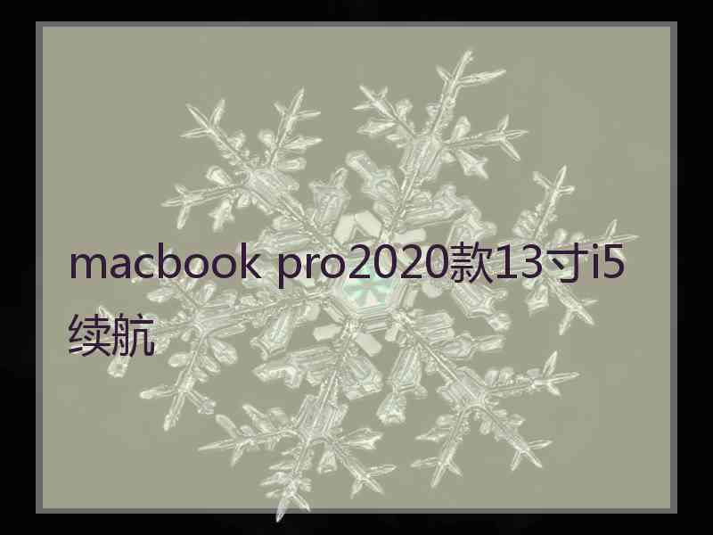 macbook pro2020款13寸i5续航