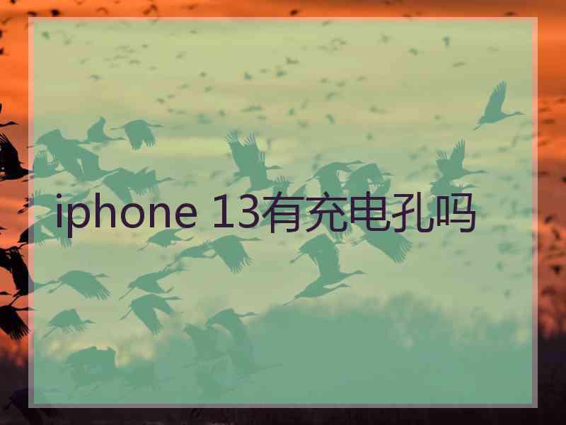 iphone 13有充电孔吗