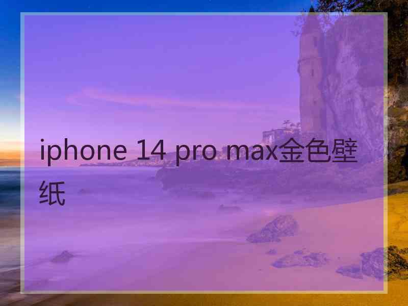 iphone 14 pro max金色壁纸