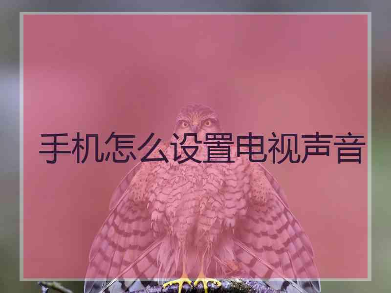 手机怎么设置电视声音