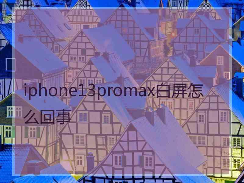 iphone13promax白屏怎么回事