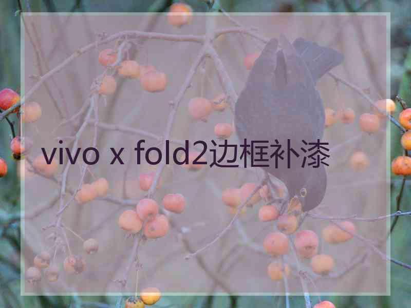 vivo x fold2边框补漆