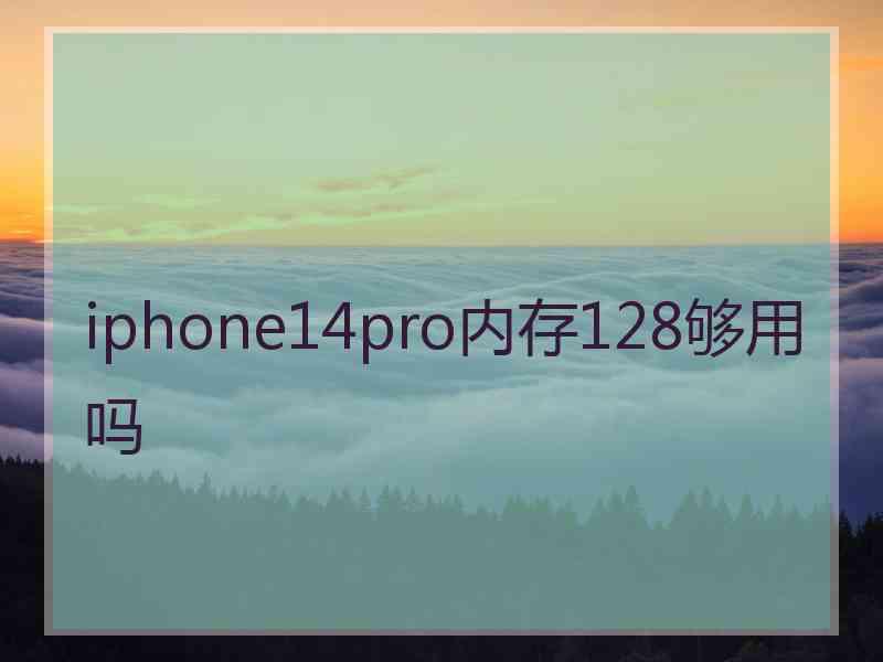 iphone14pro内存128够用吗