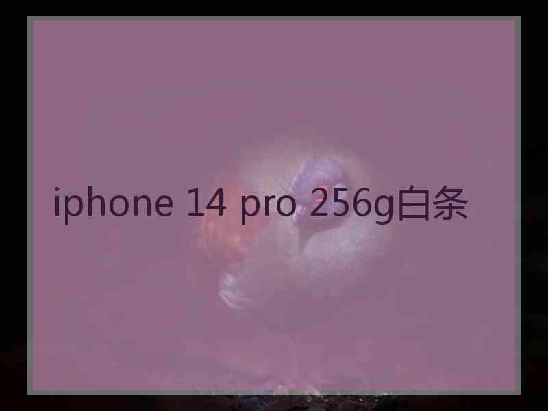 iphone 14 pro 256g白条