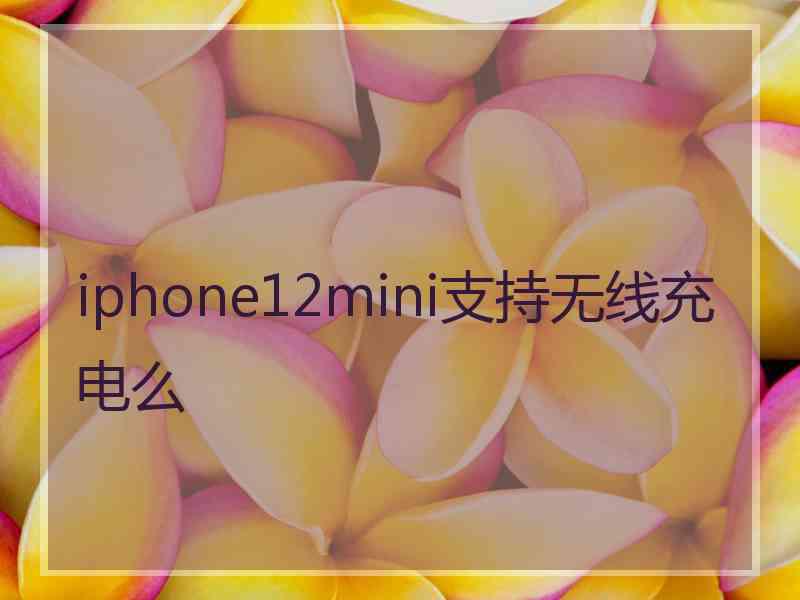 iphone12mini支持无线充电么