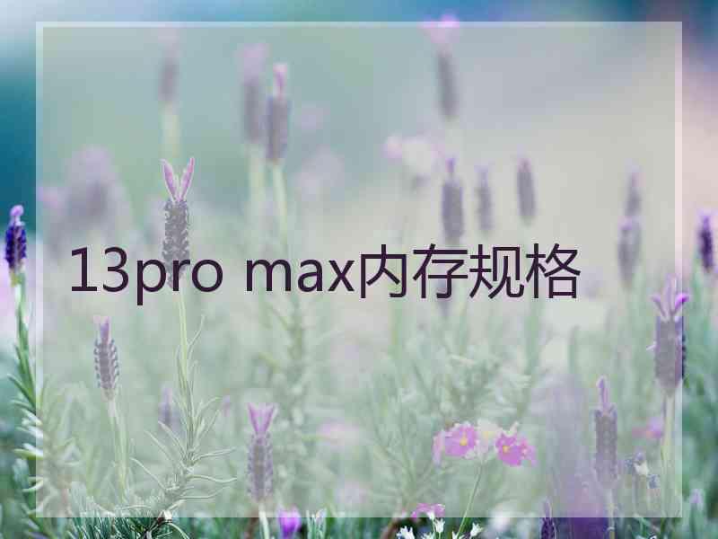 13pro max内存规格