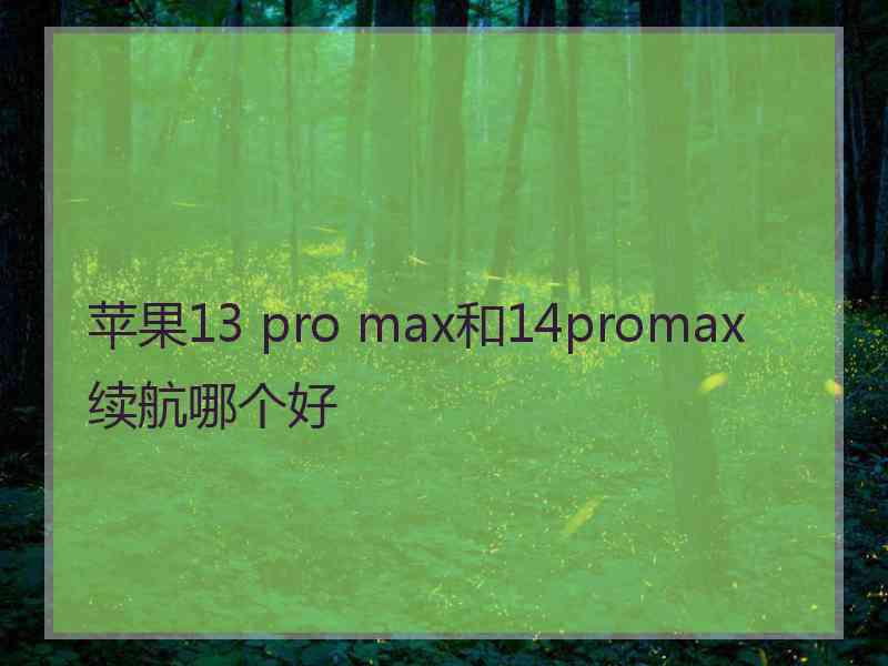 苹果13 pro max和14promax续航哪个好