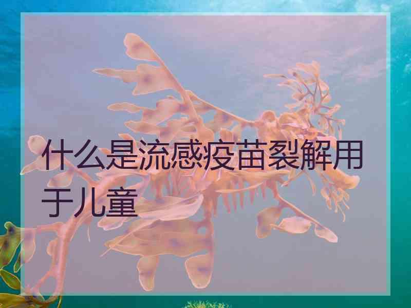 什么是流感疫苗裂解用于儿童