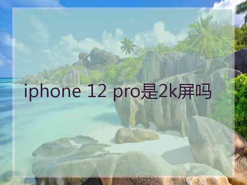 iphone 12 pro是2k屏吗