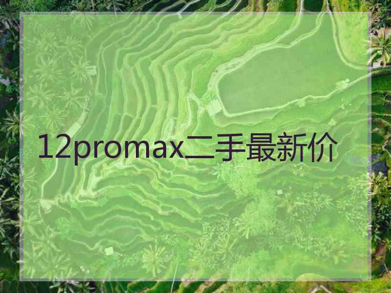 12promax二手最新价