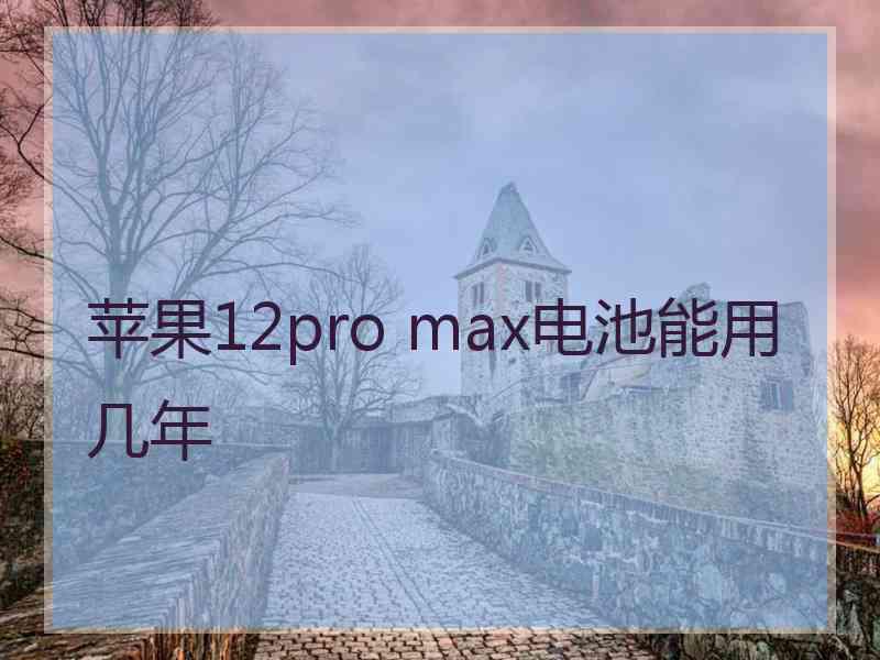 苹果12pro max电池能用几年