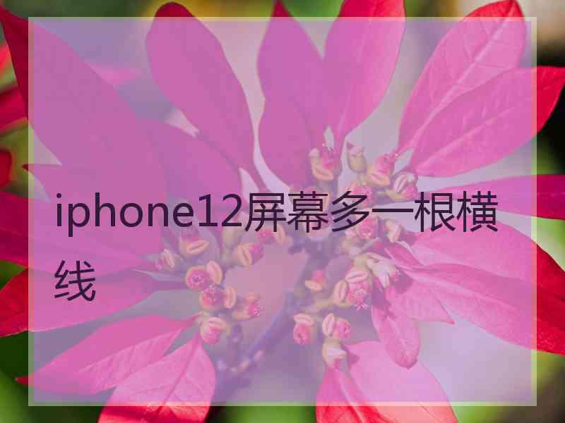 iphone12屏幕多一根横线