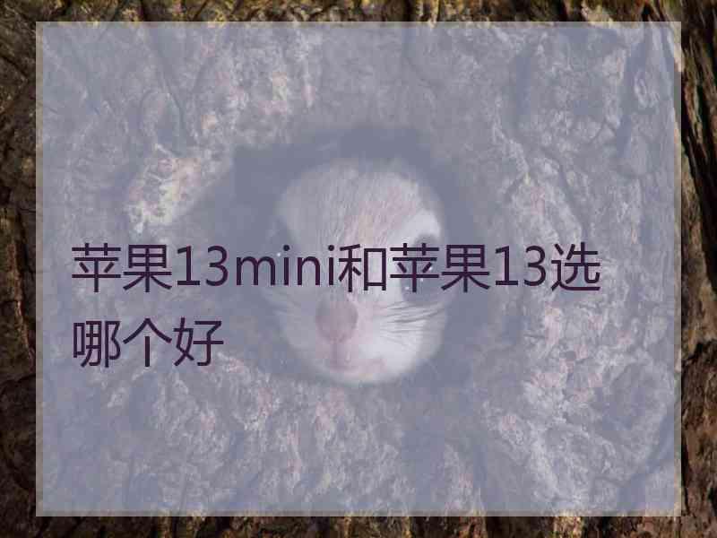 苹果13mini和苹果13选哪个好