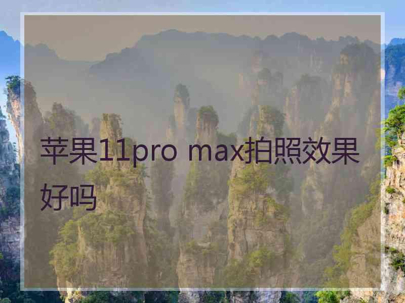 苹果11pro max拍照效果好吗