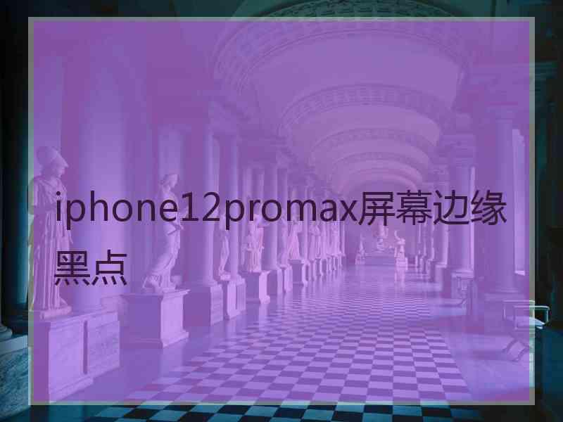 iphone12promax屏幕边缘黑点