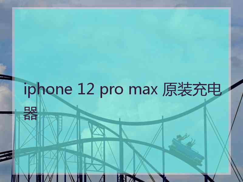 iphone 12 pro max 原装充电器