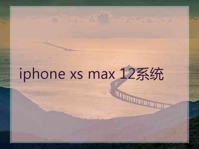 iphone xs max 12系统