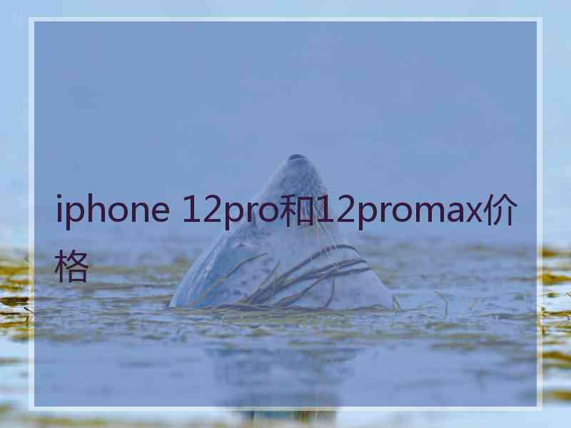 iphone 12pro和12promax价格