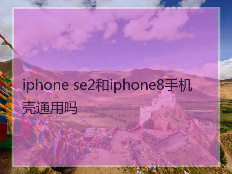 iphone se2和iphone8手机壳通用吗