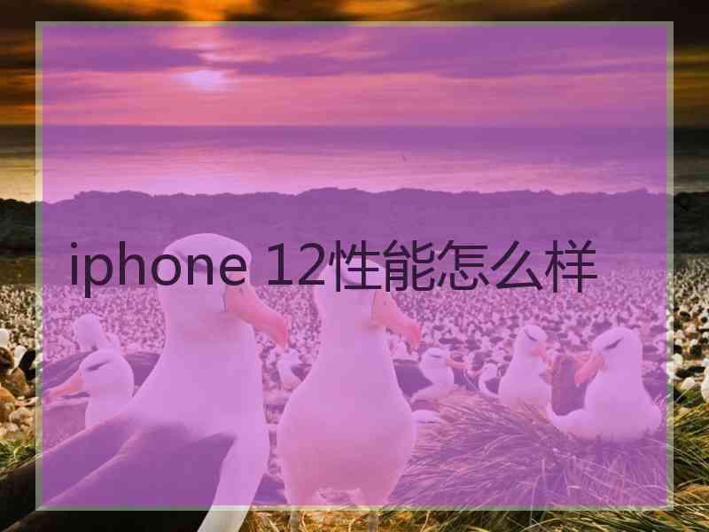 iphone 12性能怎么样