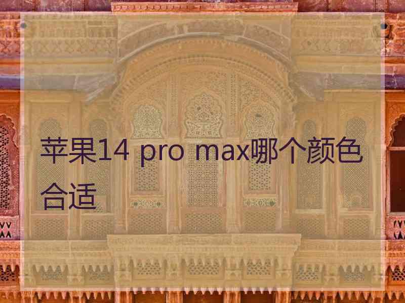 苹果14 pro max哪个颜色合适