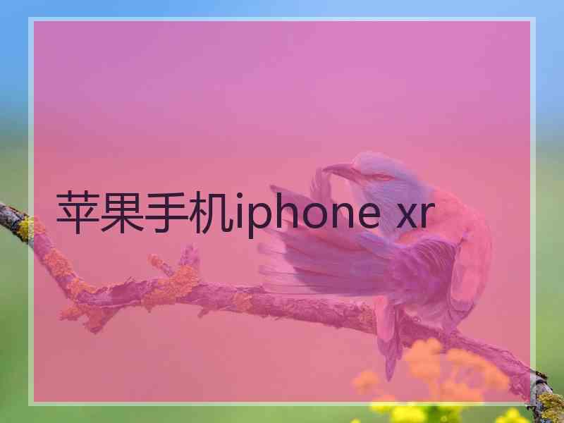 苹果手机iphone xr