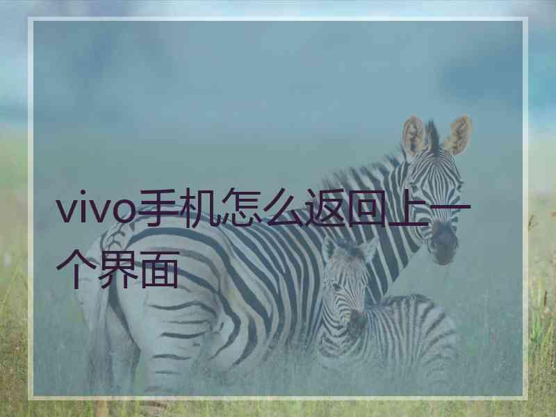 vivo手机怎么返回上一个界面