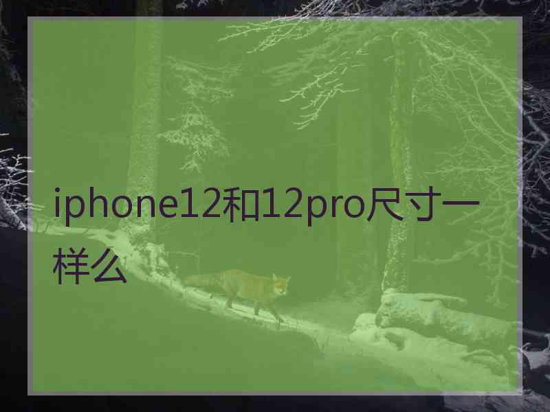 iphone12和12pro尺寸一样么