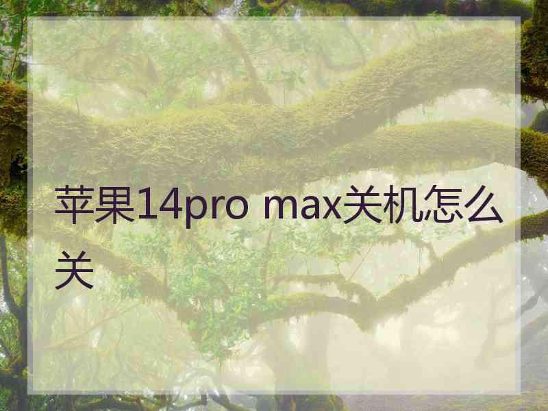 苹果14pro max关机怎么关