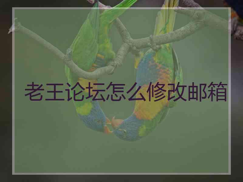 老王论坛怎么修改邮箱