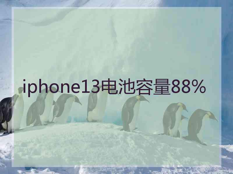 iphone13电池容量88%