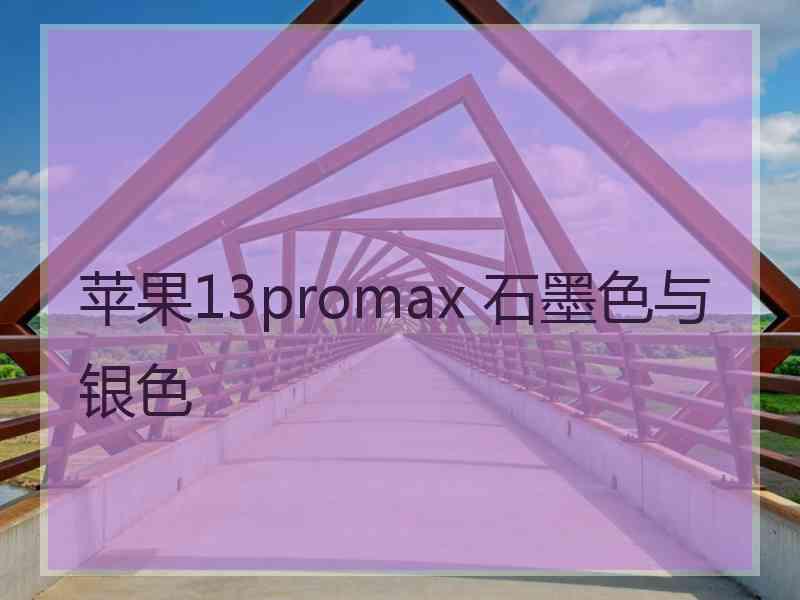 苹果13promax 石墨色与银色