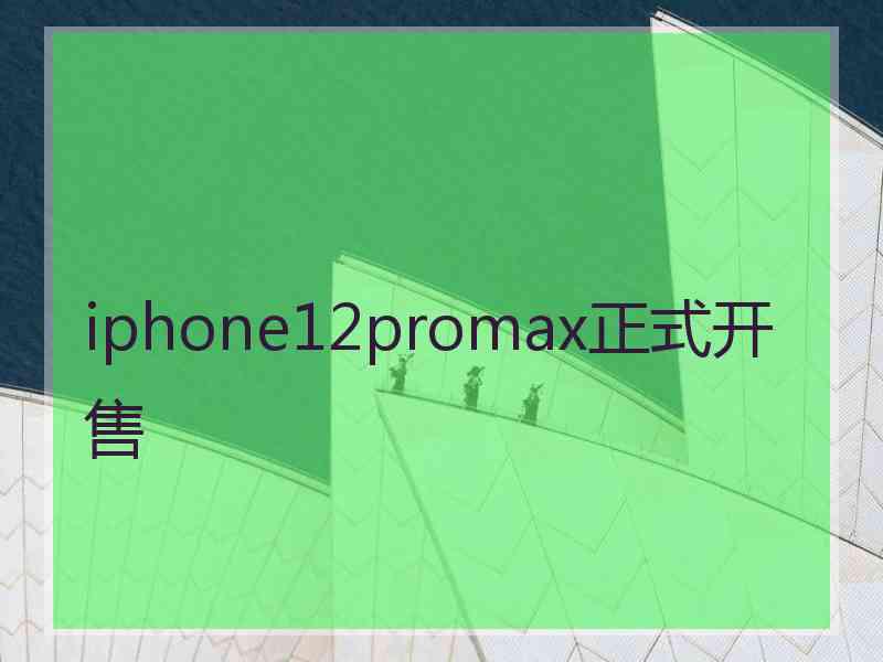 iphone12promax正式开售