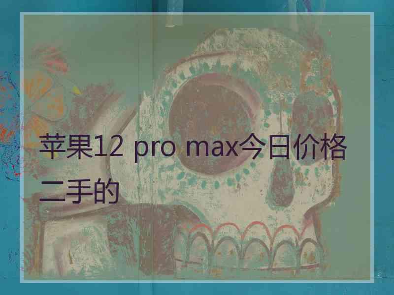 苹果12 pro max今日价格二手的