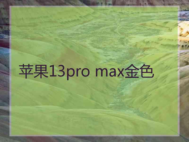 苹果13pro max金色