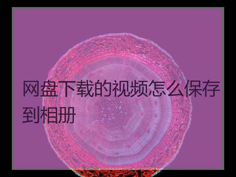 网盘下载的视频怎么保存到相册