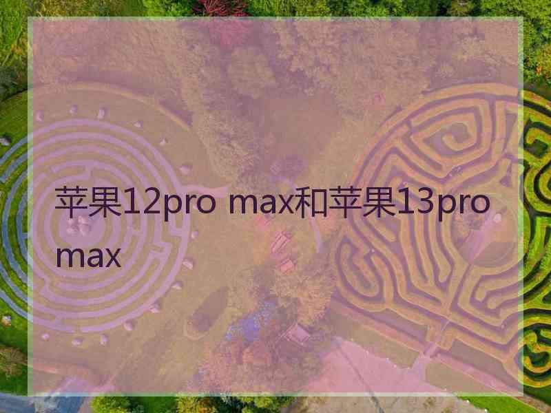 苹果12pro max和苹果13pro max