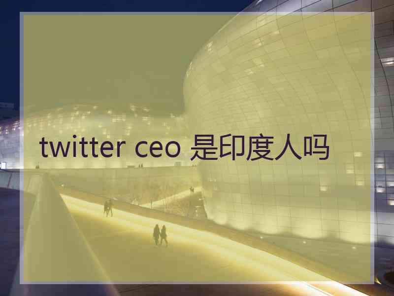 twitter ceo 是印度人吗