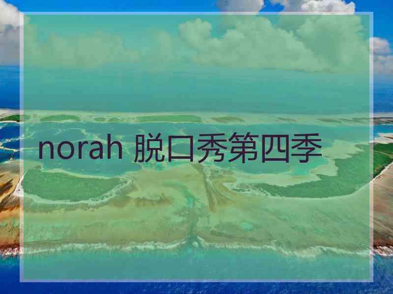 norah 脱口秀第四季