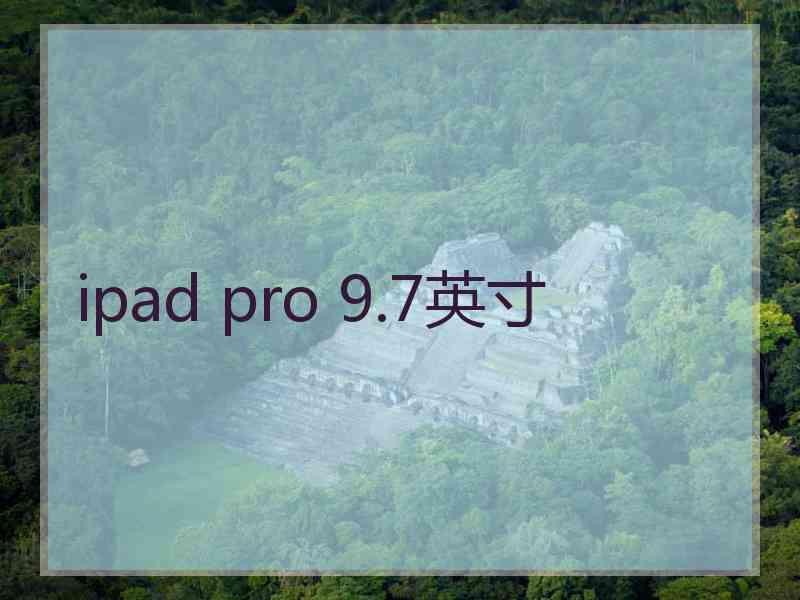 ipad pro 9.7英寸