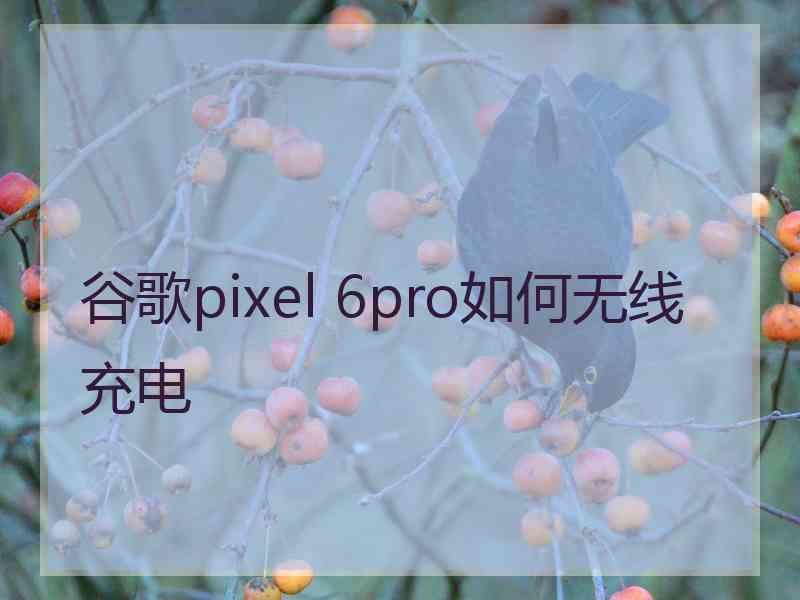 谷歌pixel 6pro如何无线充电